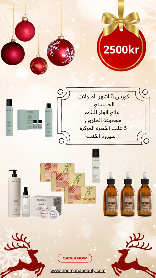 CHRISTMAS OFFER- paket 4