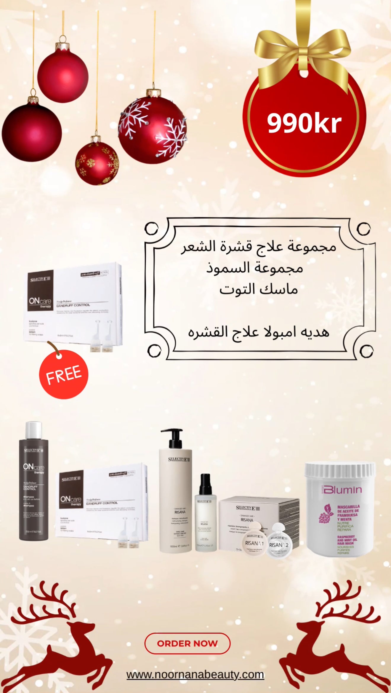CHRISTMAS OFFER- paket 1