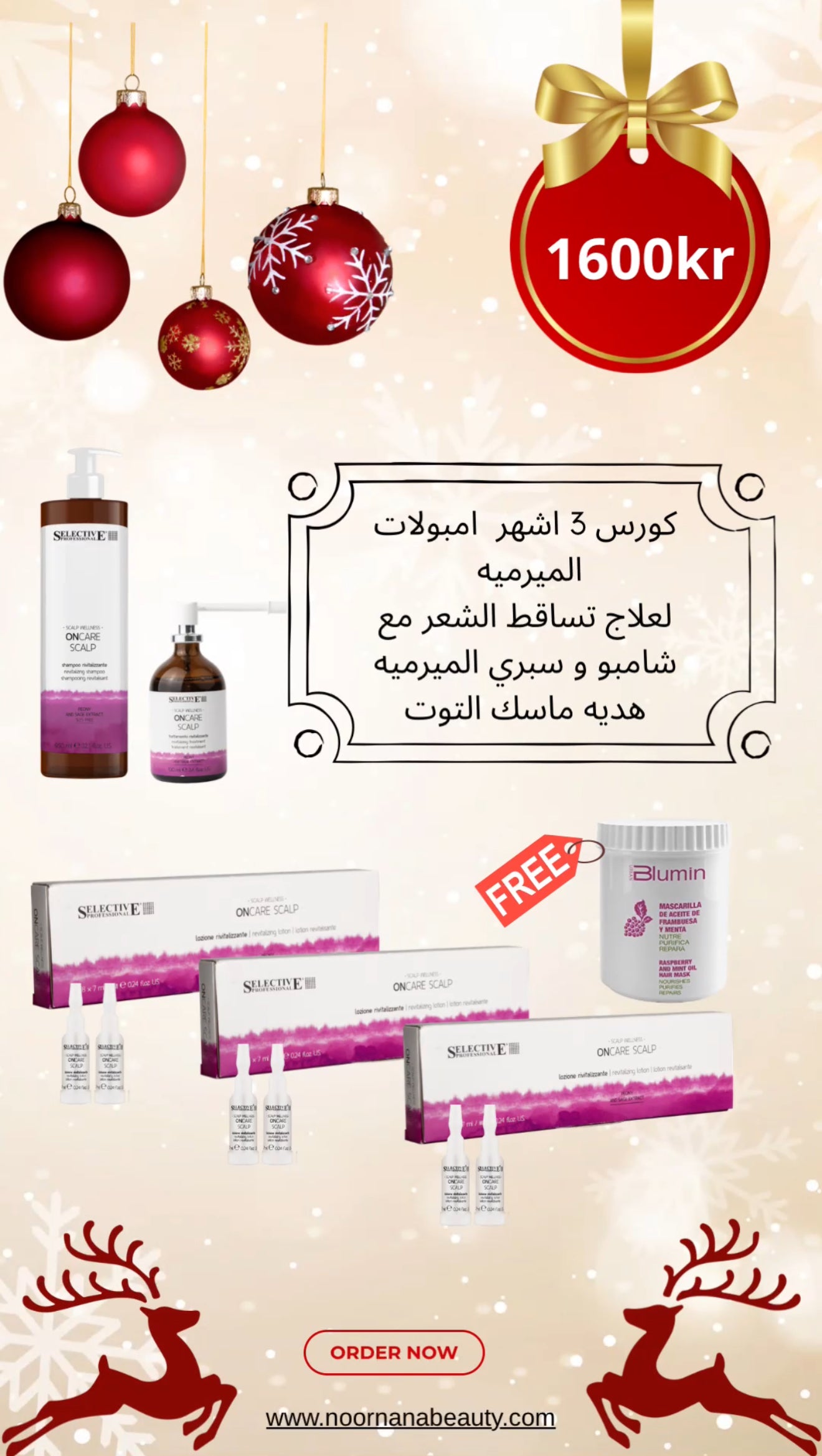 CHRISTMAS OFFER- paket 6